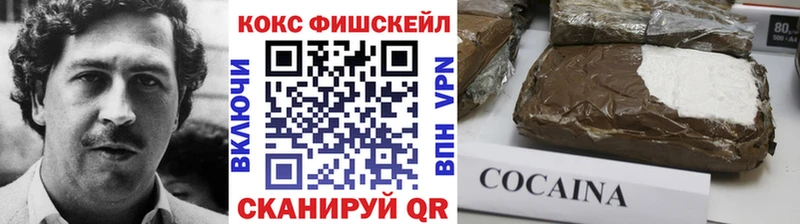 Купить где  Пушкино  КОКАИН Fish Scale 