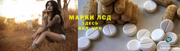 шишки Баксан