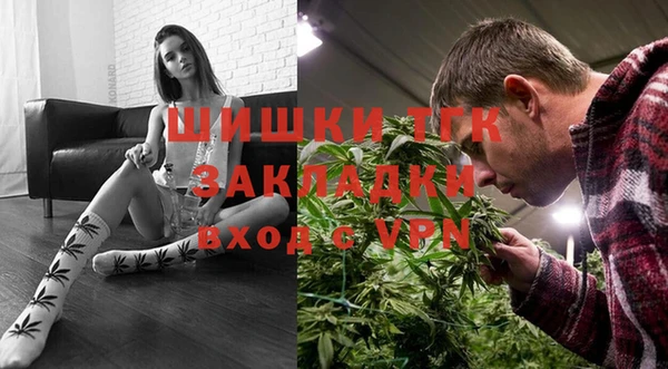 шишки Баксан
