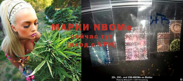 шишки Баксан