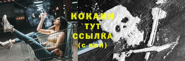 шишки Баксан