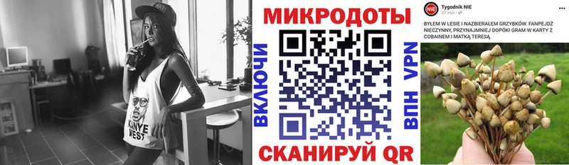 Галлюциногенные грибы мицелий  Купить где  Пушкино 